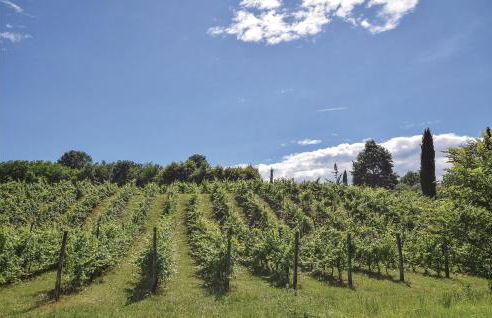 La Casa Delle Api - Photo 56