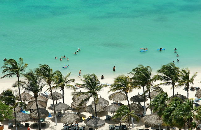 The Palm Leaf Apartments - Foto 43