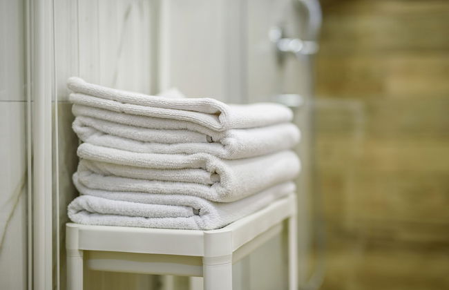 Vila Curic - Foto 77