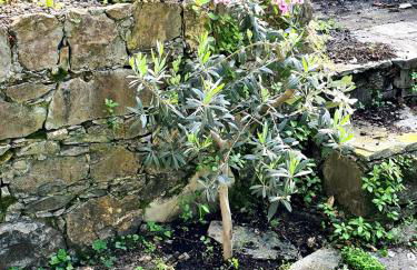 Lovely House - Foto 29