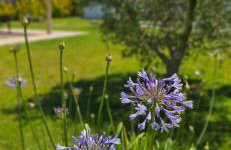 Las Casitas de la Barrosa con jardín y piscina - Foto 57