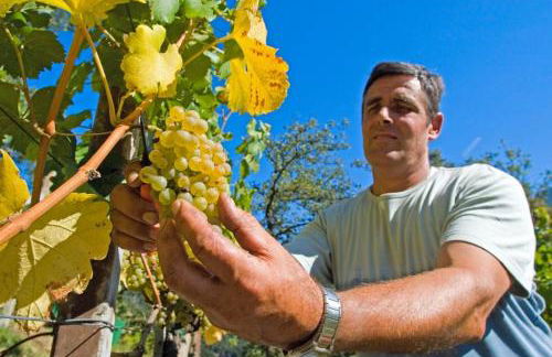 Brugger Hof - Foto 24