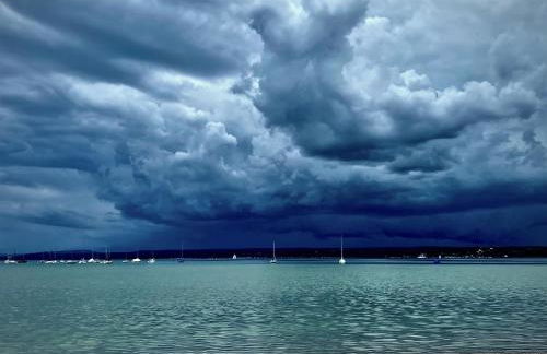 La Vie en rose - Foto 69