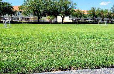 Home Away from Home - Foto 43