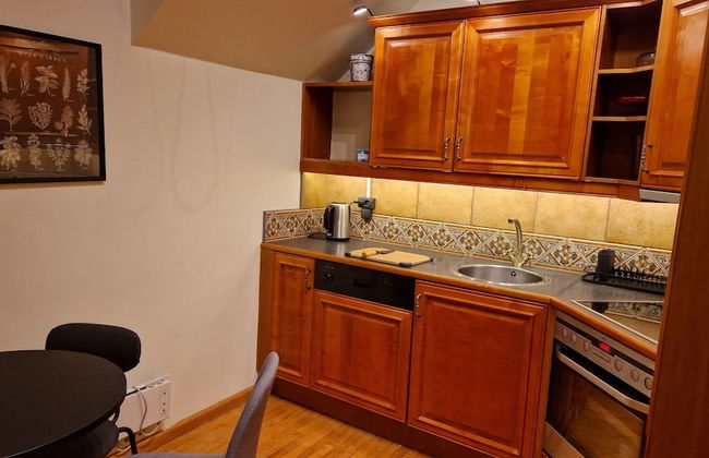 TyzenXL Luxury Vilnius Apartment - Photo 21