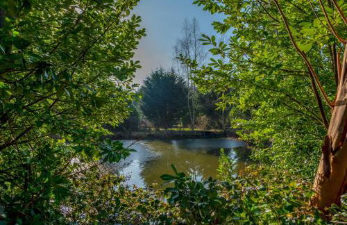 Astbury Falls Escape - A Tranquil Stay in Nature - Pass the Keys - Photo 31