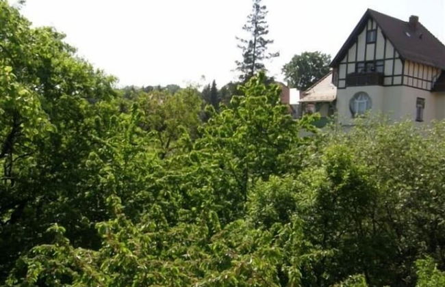 Villa Bellevue Dresden - Foto 32