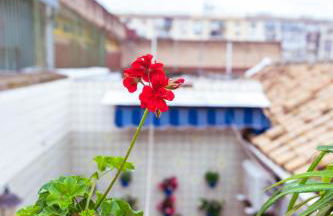 Casa La Platería - Foto 25