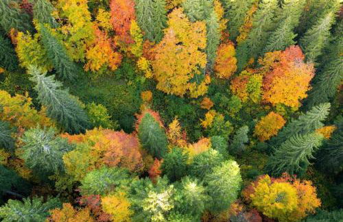 L'Orgelétaine : Grande Maison au milieu des Lacs du Jura - Foto 41