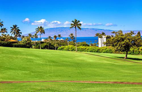 Kaanapali Plantation 54 - Photo 31