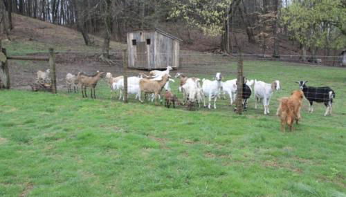 River Lane Cottage - Foto 2