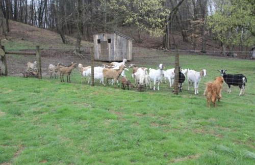 River Lane Cottage - Foto 2