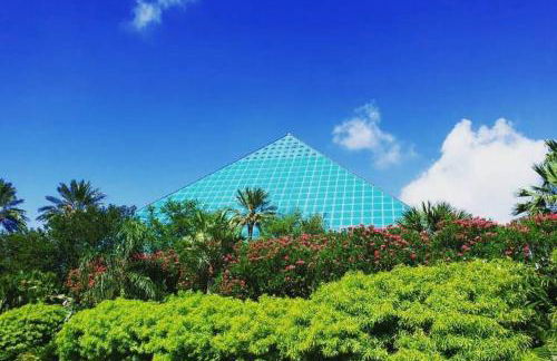 The Q Loft Galveston - Foto 58