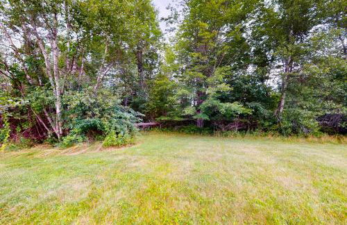 Bampi's Dream - Foto 20