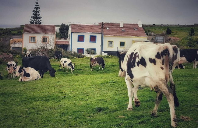 Casa do Pequeno Dragoeiro - Photo 51