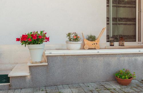 Apartmani Gelo - Foto 77