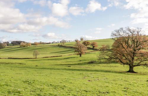 Squires Rest - Foto 66