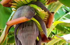 Villa Montana Negra II - Foto 27