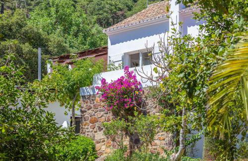 Casa Pájaro del Músico, Bolonia - Foto 58