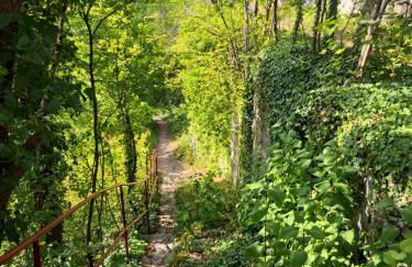 Ferienwohnung im Ries - Foto 22