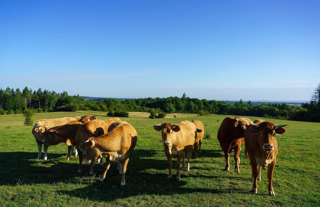 Peaceful Holiday Home - Foto 51