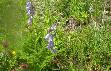 Exceptionnel - En bordure de pistes et skis aux pieds - PELVOUX II - VARS - Foto 36