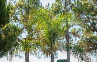 Mesogeios Hotel - Foto 29