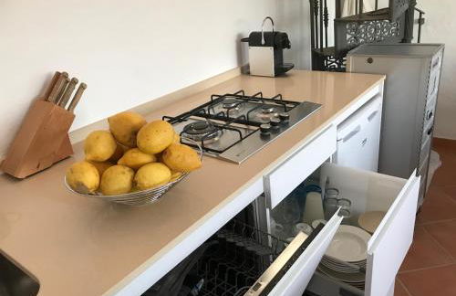 Finca Meerlust - Las Ballenas - Foto 39