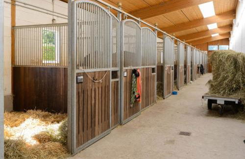 Cozy Holiday Home on a Horse Farm in the Luneburg Heath - Foto 42