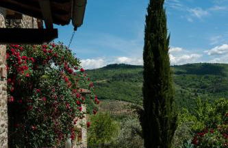 Agriturismo Azienda Agricola il Pozzo - Foto 8