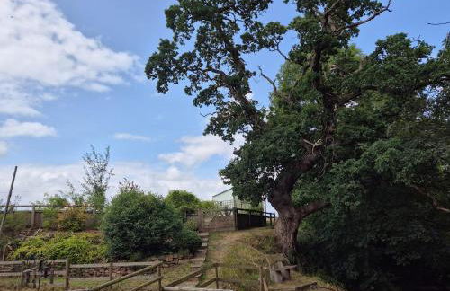 The Old Mill Cottage - Foto 65