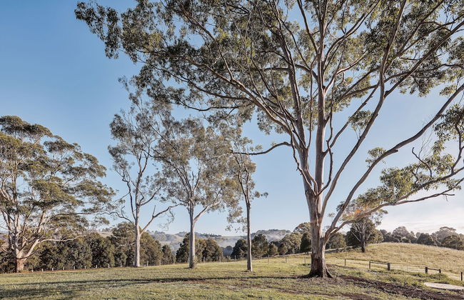 99 Acres Bangalow Retreat - Photo 35