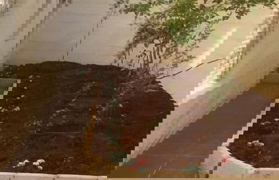 The Place Apartments - Foto 60