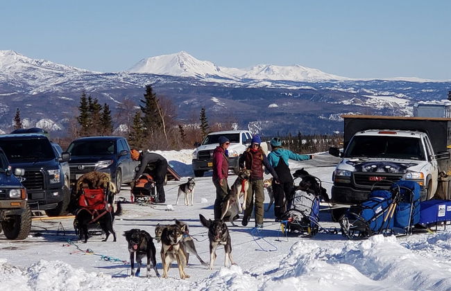 Denali Wild Stay - Foto 67