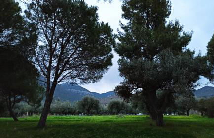 Rizaki Cottage in Nafpaktos - Foto 17