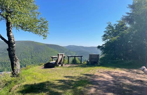 Dicker Stein - Foto 35