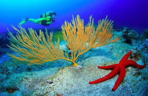 Ocean Breeze Faro Sardina - Foto 47