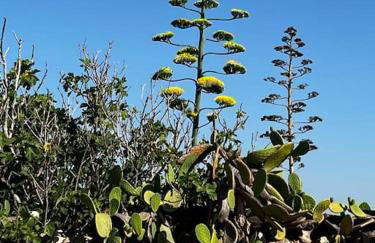 Casa Matilde a pochi passi dal mare - Foto 41
