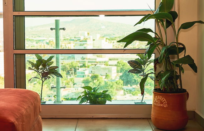 Dodo Horizontes Chapultepec - Foto 14