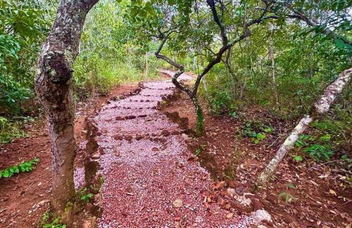 Casa para relaxar em Chapada dos Guimarães - Foto 25