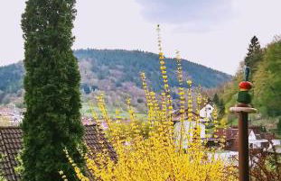 Casa la Collina delle Ginestre - Foto 8