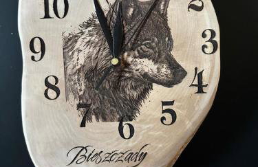 Bieszczady ClaraArt - Foto 35