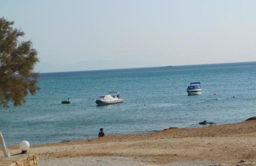 Paradise Studios - Foto 32