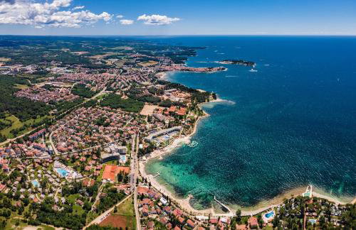 Villa Andrea for 17 people with private 40 m2 pool & pet friendly near Poreč - Photo 8