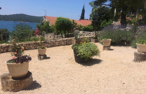 Apartments Maslina - Foto 10