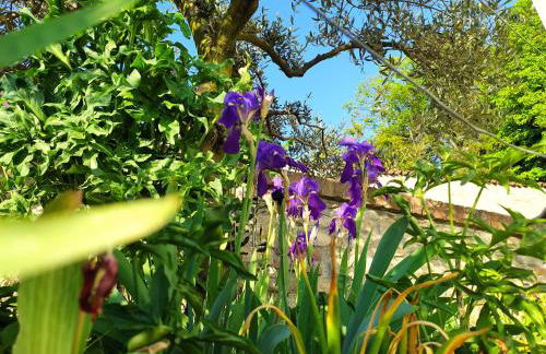 Casa Mantel Panoramic view in Langhe - Foto 59