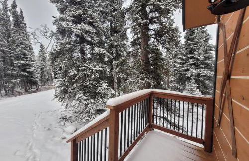 Denali Wild Stay - Muskrat cabin, private, free wifi, free parking, sleep 4 - Foto 5