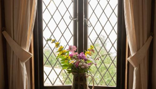 Demelza Cottage Apartment - Foto 4, Garden view