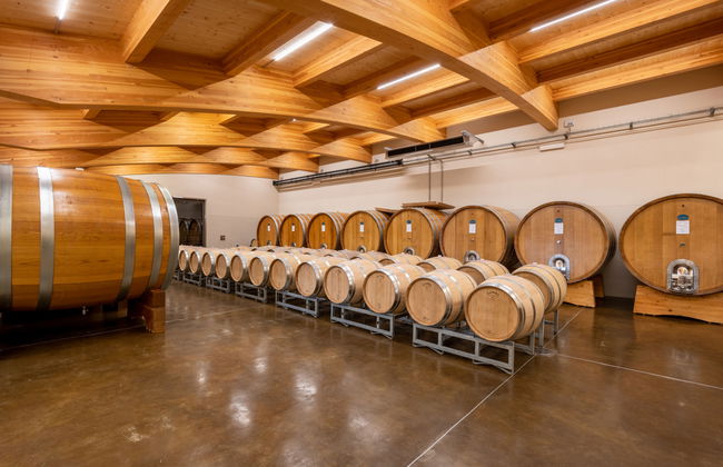 Collina San Ponzio - Foto 37