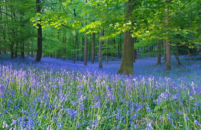 Deers Leap, A Modern new Personal Holiday let - Foto 9